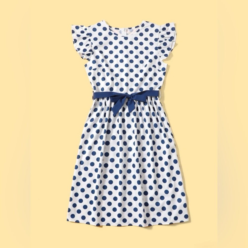 Shein Polka Dot Ruffle Trim Belted A-line Dress